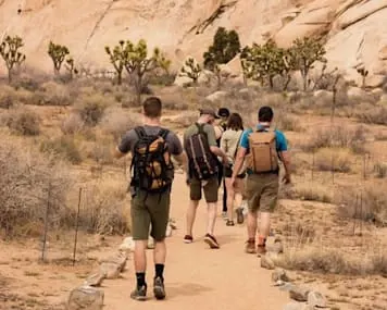 Joshua Tree National Park